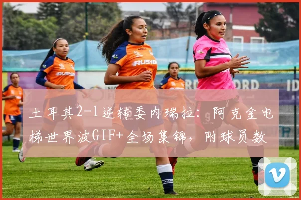 土耳其2-1逆转委内瑞拉：阿克金电梯世界波GIF+全场集锦，附球员数据深度解析